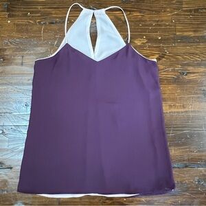 Express Purple and Pink Chiffon Halter Double Layered Tank Top size S